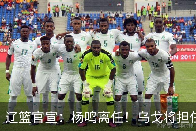 辽篮官宣：杨鸣离任！乌戈将担任辽宁男篮主帅